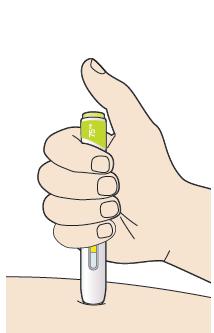 5. Keep holding the pen against your skin after releasing the button The injection may take up to 20 seconds. 6. Check the window has turned yellow, before removing the pen.