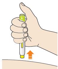 7. Pull pen away from your skin. Do not rub the skin after the injection. If you see any blood, press a cotton ball or gauze on the site until the bleeding stops. 8.