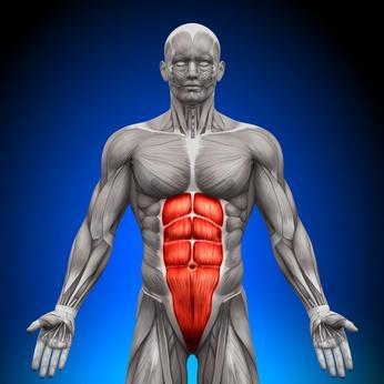 CORE TRAINING Why Train the Core for Golf? When someone talks about their core, they're referring to the muscles that go deep within the abs and back attaching to the spine or pelvis.