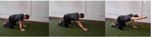 Shoulder Mobility 8 to 10 reps Place your feet about shoulder width apart and your elbows at shoulder height. Stand against a wall with shoulder blades and hips touching the wall.