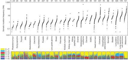 Somatic mutation frequencies observed in exomes from 3,083 tumour normal pairs.