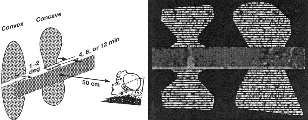 4250 Z. Liu et al. / Vision Research 39 (1999) 4244 4257 Fig. 9. Left: schematic illustration of the experiment. The subject viewed the stimulus in stereo. Right: example stimulus.