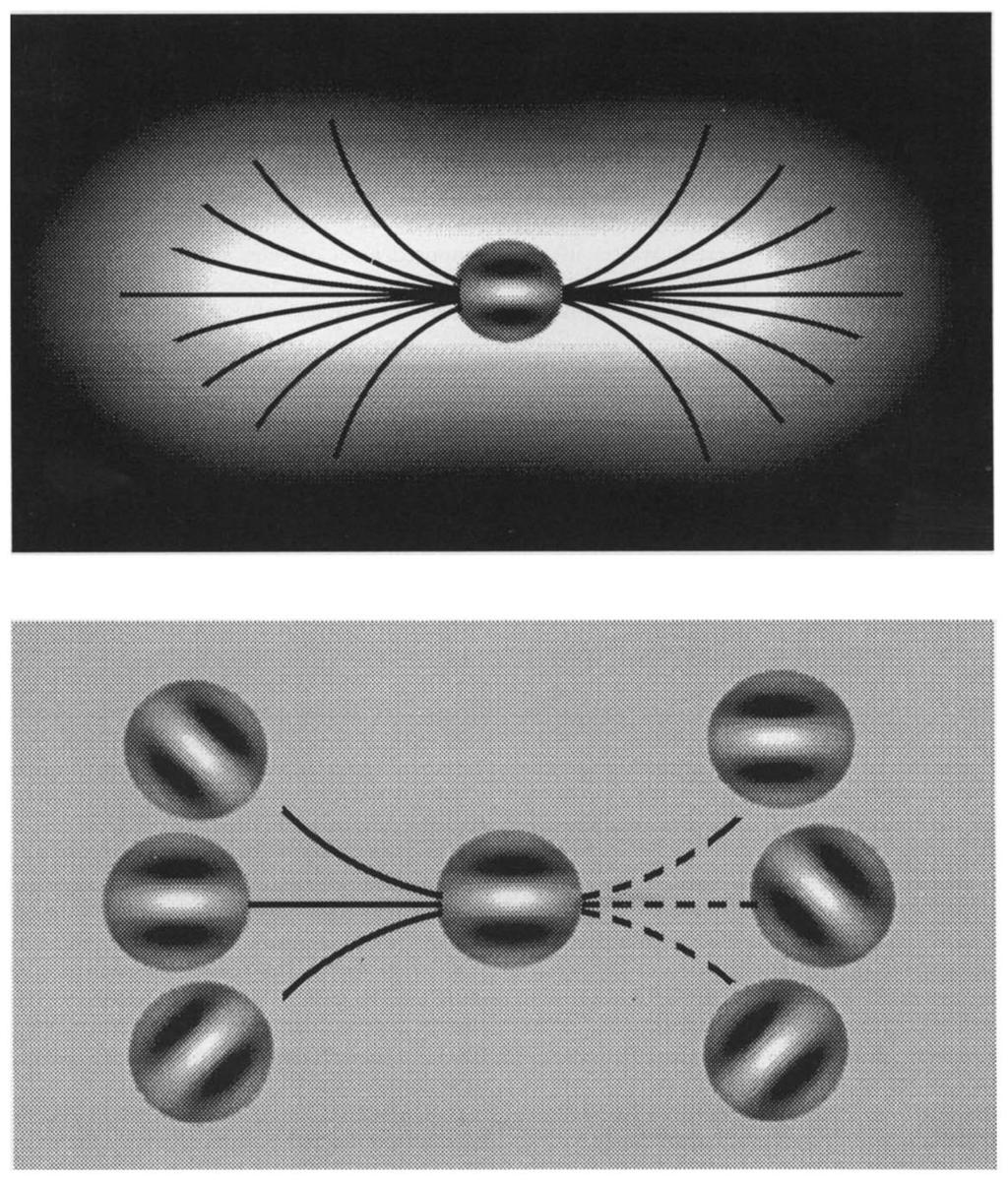190 DAVID J. FIELD et al particular, fractal models have been found to provide an effective description of many natural image