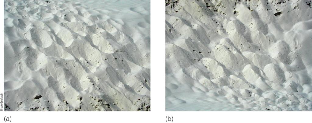 top of a shape that is jutting out. jutting out 53 54 Figure 5-37 p111 Why does (a) look like indentations in the sand and (b) look like mounds of sand?