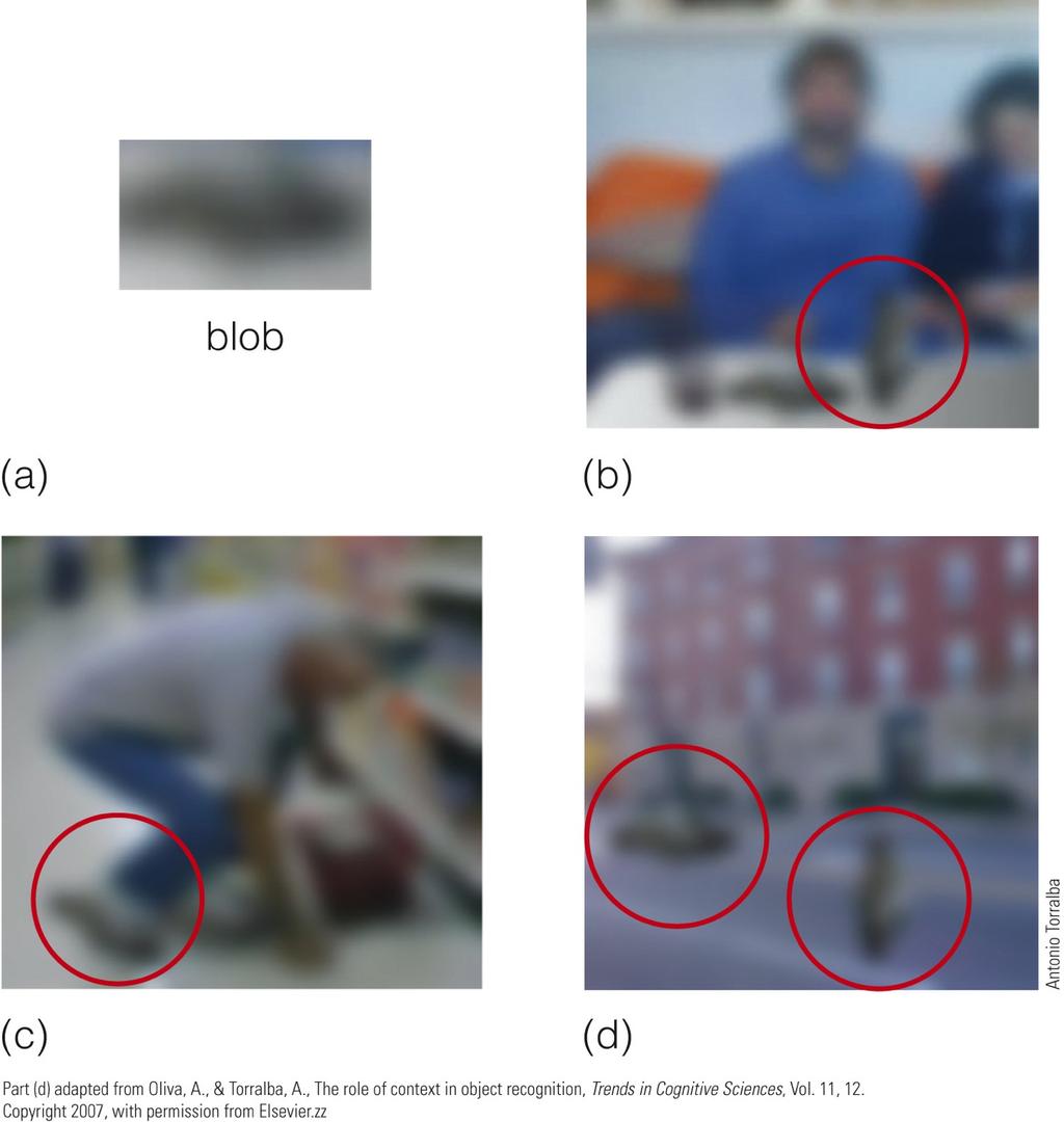 Regularities in the Environment: Information for Perceiving - continued Semantic regularities. Palmer experiment Observers saw a context scene flashed briefly, followed by a target picture.