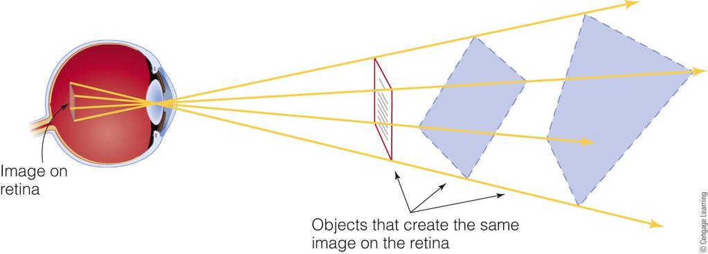 Inverse projection problem: An image on the retina can be caused by an