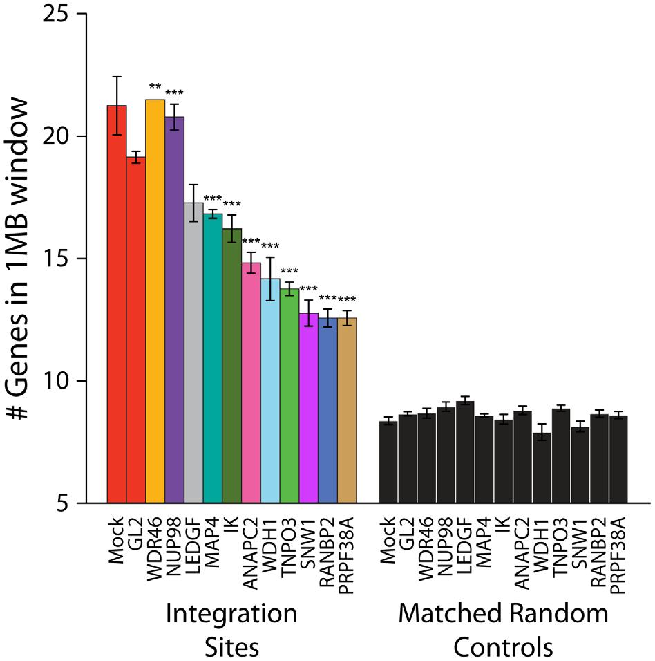 Figure 5. Depletion of additional host factors and their effects on HIV integration in gene dense regions. Integration sites were isolated from cells treated with sirnas targeting the indicated genes.