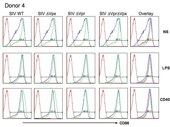 Figure 17. Representative Donor for CD86 Surface Maker Expression Six donors were exposed to each virus type either SIV WT, SIV PBj Vpr, SIV PBj Vpx, or SIV PBj Vpr Vpx.