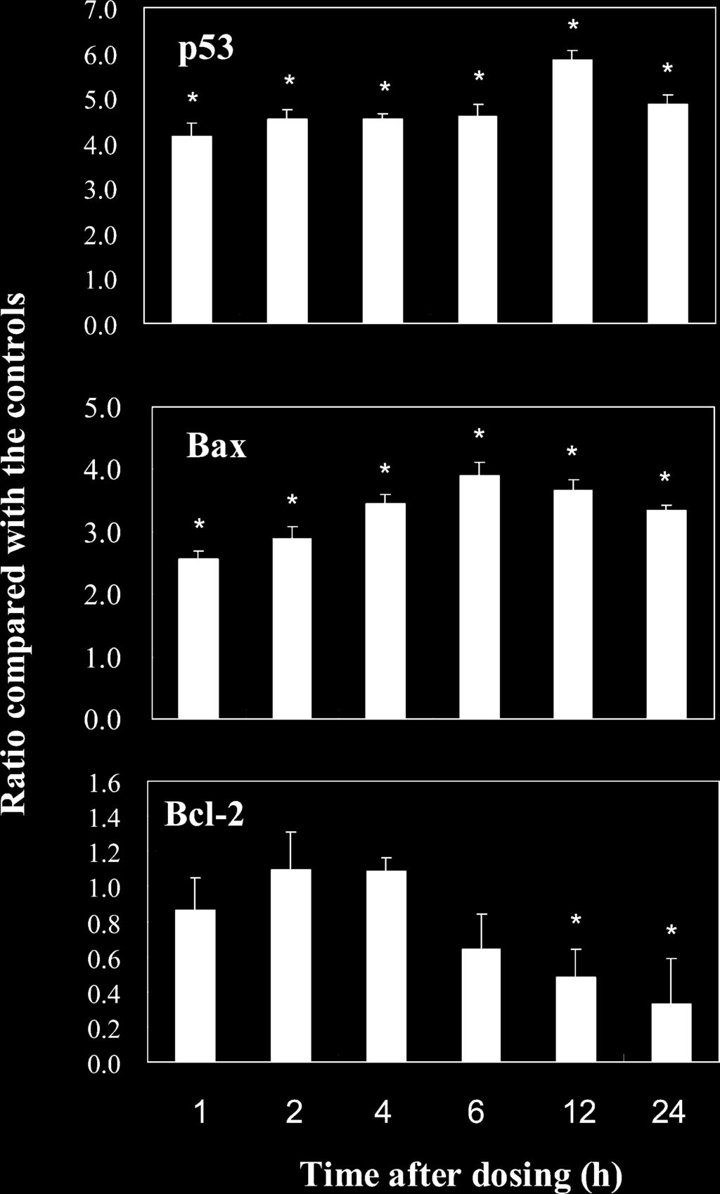 114 LI ET AL. Fig. 1. Time course of p53, Bax, and Bcl-2 mrna expression by Q-PCR analysis in rat testis after treatment with 87 lg MC-LRequivalent/kg body weight.