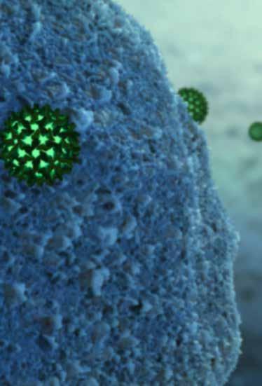 Interpreting the results Hepatitis B surface antigen: a viral component Hepatitis B surface antigen (HBsAg) is detected in current infection.