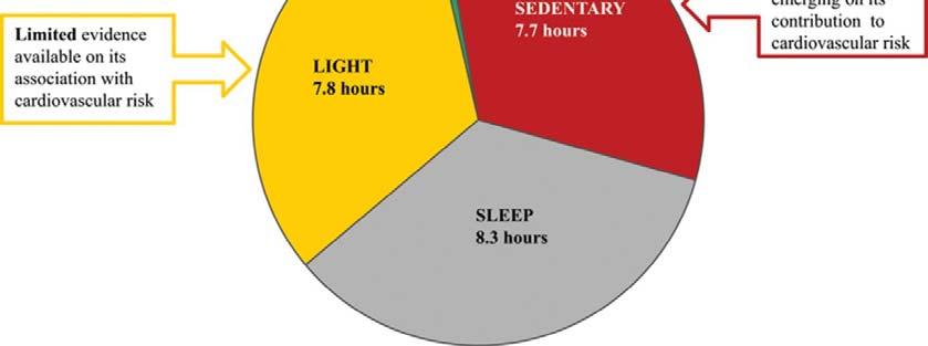Examination Survey. Light time=24 MVPA Sleep Sedentary time.