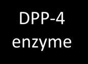 DPP-4 Enzyme Meal