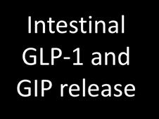 GLP-1 and GIP Are