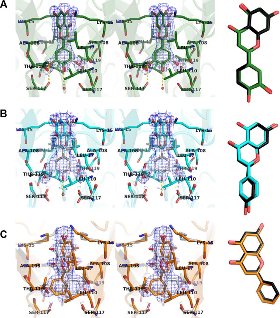 D.B.B. Trivella et al. / Journal of Structural Biology 180 (2012) 143 153 147 Table 4 Thermodynamic parameters of API, LUT, CHR, KAE and NAR interaction with the wild type TTR.