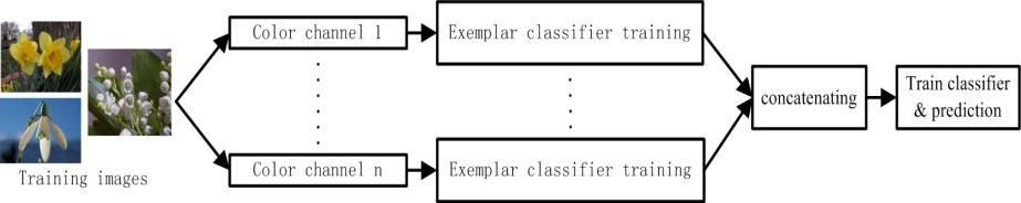 Figure 2. Flowchart of the proposed method. In this paper, we propose a novel fine-grained image classification method using the color exemplar classifiers.
