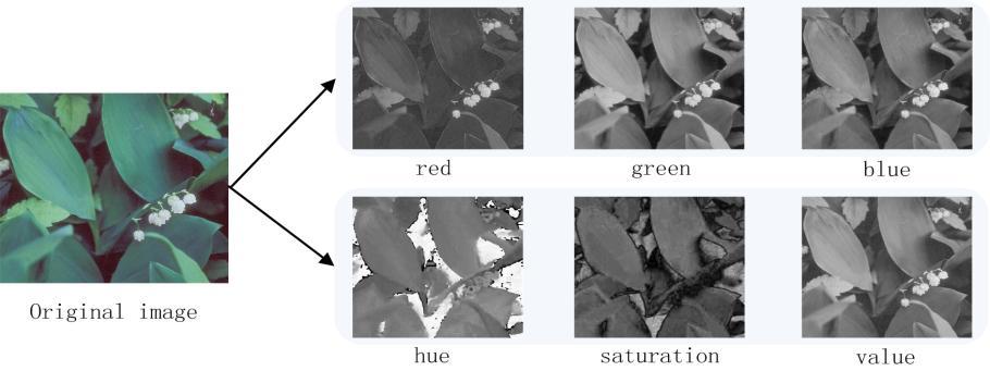 Figure 3. The decomposition of one image into different color channels (RGB, HSV). best viewed in color. It is features to represent images.
