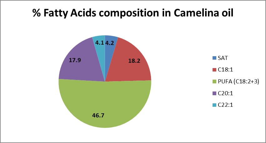 Figure 4. Fatty acids composition from GC test in crambe seed samples.