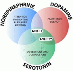 Transmits pain signals in the brain. If the levels of Substance P are reduced in the brain, symptoms of depression improve because the brain processes psychic pain in the same way as physical pain.