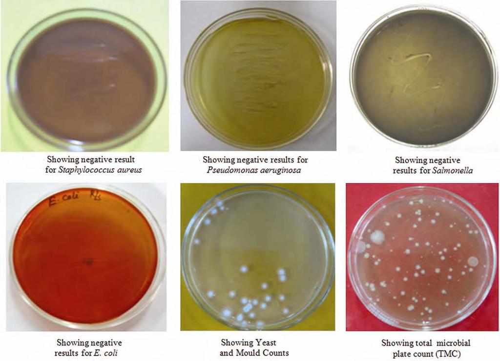 702 INDIAN J TRADITIONAL KNOWLEDGE, VOL 11, NO 4, OCTOBER 2012 Fig. 8 Photographs of Microbiological limit test in The Aflatoxin was absent in the formulated (Fig. 7).