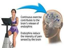 Endorphins Endorphin production increases in response to: