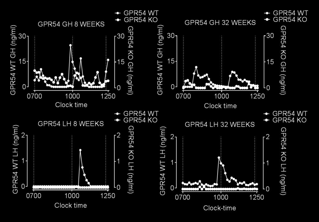 Panels on the bottom illustrate the circulating levels of whole blood LH over a 6-hour sampling period at 8 and 32-week-old.