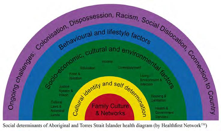 Section B Contents 22 Introduction and Determinants of Aboriginal Health 24 Aboriginal Key Performance Indicators (KPI) Matrix 26 Social Determinants of Aboriginal Health Aboriginal Population Health