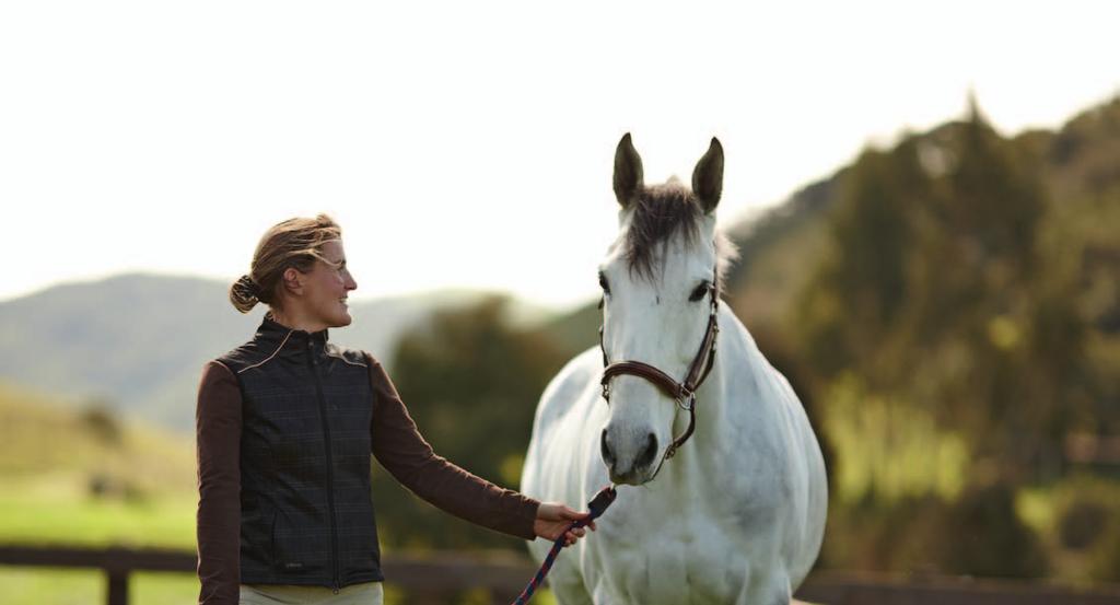 THE CASE FOR VETERINARIAN- ADMINSTERED VACCINES. Pfizer Animal Health sells more equine vaccines than all of the other manufacturers combined.