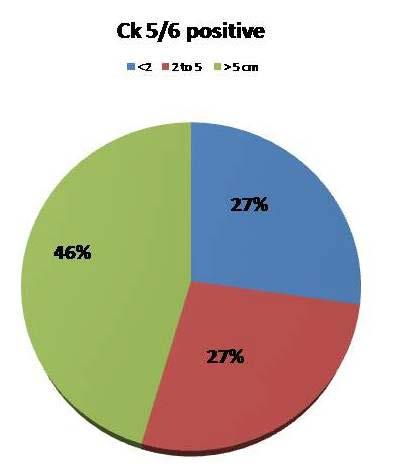 Fig. 4: Pie chart showing CK5/6 positive cases and size of tumours Correlation between CK 5/6 with invasive and prognostic features was performed and we observed that the tumors with higher grade,