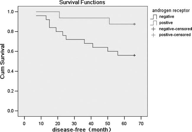 Figure 3. Disease-free survival curve of 41 patients with basal-like breast cancer (P = 0.036). Figure 4.
