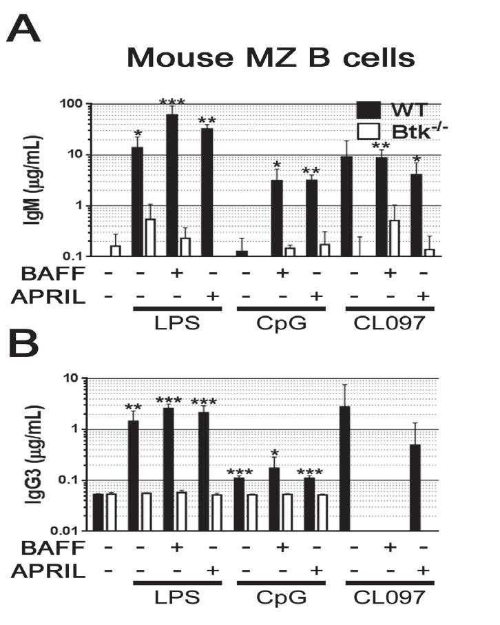 59 Figure 15. TLR-priming for BAFF and APRIL sensitivity requires Btk in mouse MZ B cells.