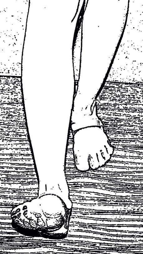 your foot and ankle in all directions. Soleus. Peroneus longus. Tibialis anterior.