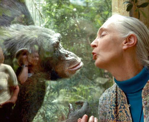 Signature Lives chimps became less afraid. In time, The study of animals is they let her get closer to them, too. called zoology.