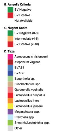 Representative vaginal microbiome data from women with