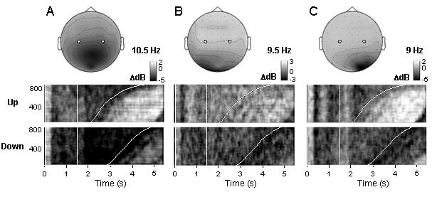 TNSRE-2002-BCI015 3 Fig. 3. Power trajectories for three independent EEG components in successful mu-rhythm up- and down-regulation trials. Same subject and trials as in Figs. 1 and 2.