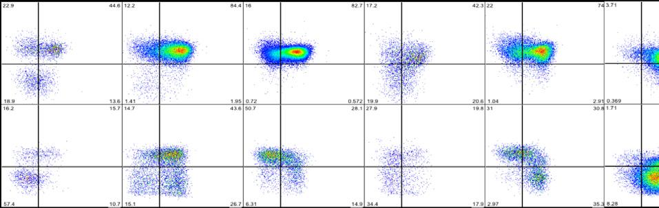 A CD28 +/- +/+ -/- -/+ CD127 B CD28 23 44 19 14 16 12 16 15 2 2 84 16 43 51 57 11 15 27 CD127 83 17 CD4 + T cells C Naive TCM TEM TEMRA LN LN LN LN %CD8 + T cells %CD4 + T cells D CD4 + T cells CD8 +