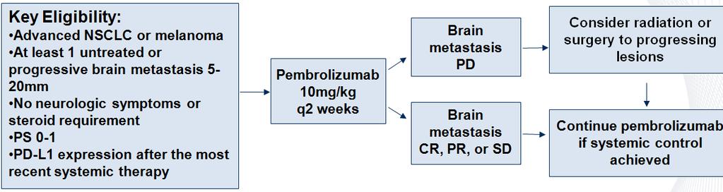 Pembro: Phase II Brain Metastases