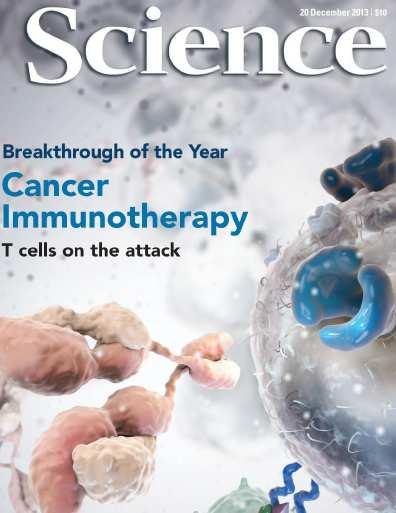 The Immune System: an Ideal anti-cancer
