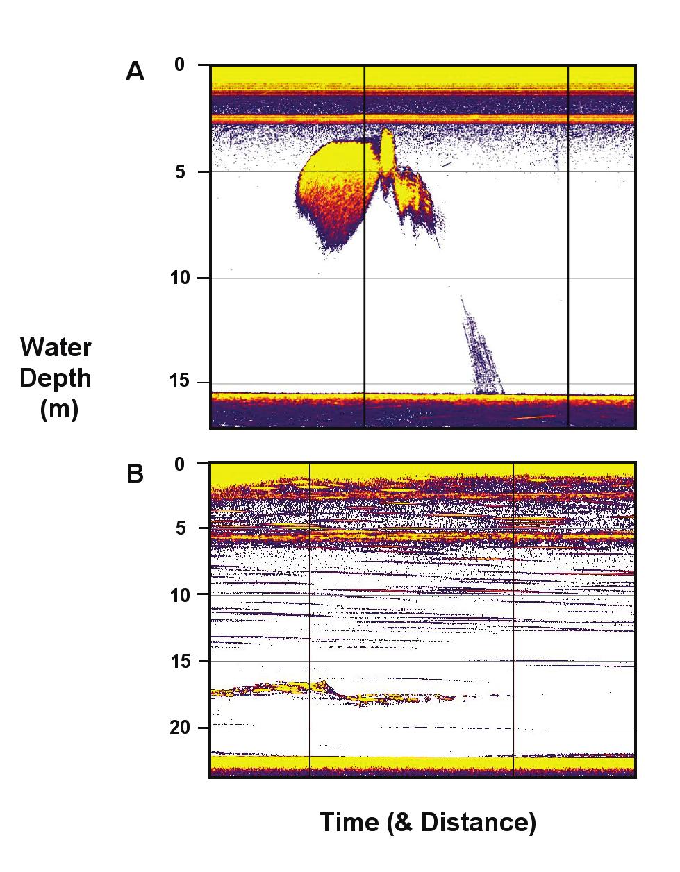 Asessing the Impact of Underwater Sounds on Fishes and Other Forms of Marine Life Figure 4: Responses of a sprat school (A, at 5 m depth) and a mackerel school (B, at 17 m depth) to sound playback,