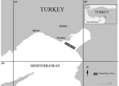 INDIAN J MAR SCI VOL 43(9), SEPTEMBER 2014 Levantine Sea (northeastern Mediterranean Sea), based on specimens from the Iskenderun Bay.