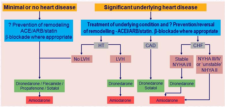 Choice of antiarrhythmic drug according to underlying pathology ACEI = angiotensin-converting enzyme inhibitor; ARB = angiotensin receptor blocker; CAD = coronary artery disease; CHF = congestive