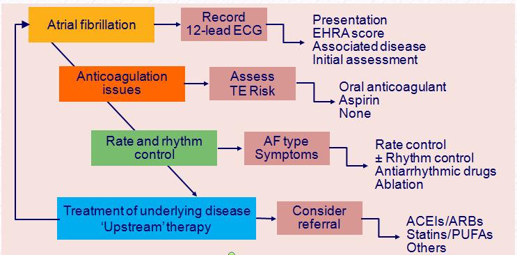 The management cascade for patients with AF ACEI = angiotensin-converting enzyme inhibitor; AF = atrial
