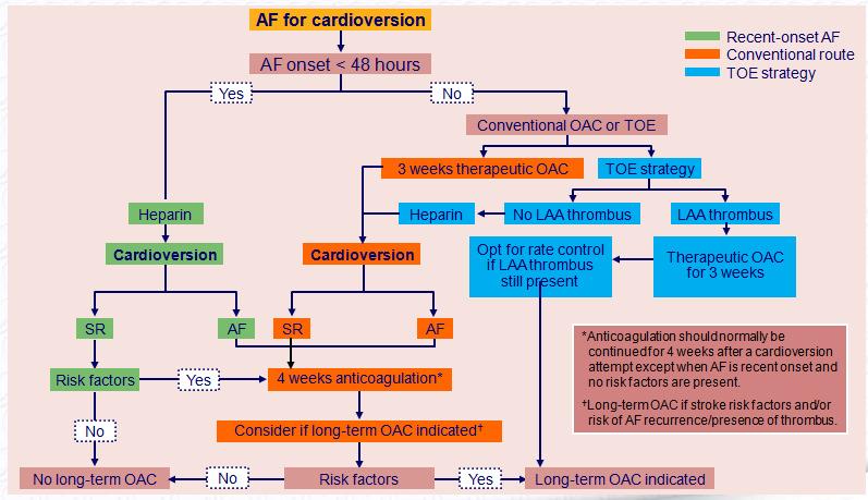 Cardioversion,, TOE and anticoagulation AF = atrial fibrillation; DCC = direct current cardioversion; LA = left