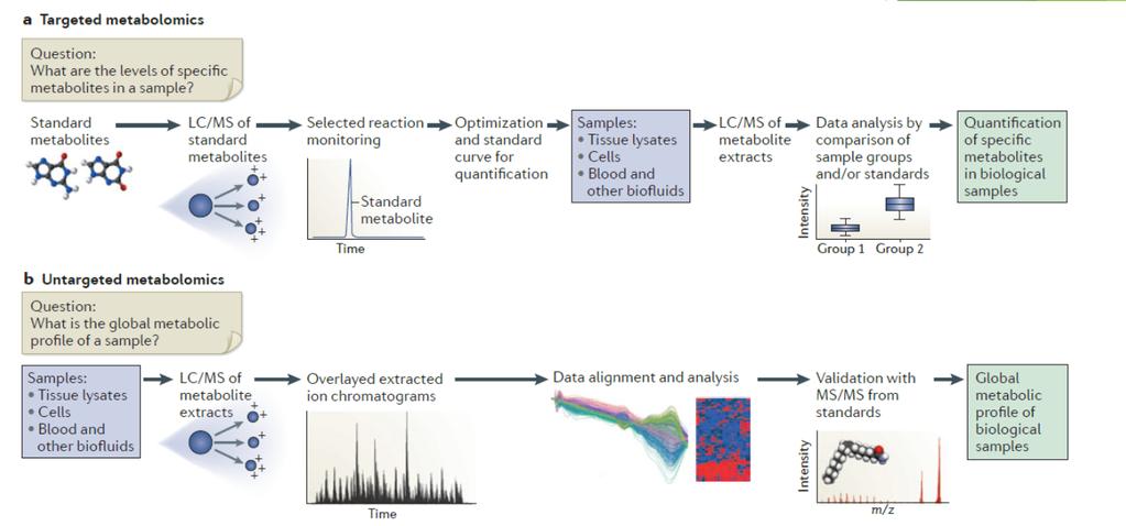 INNOVATION Metabolomics: the apogee of the omics trilogy Gary J.