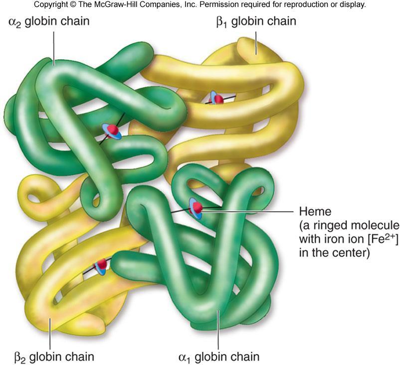 Molecular Structure of