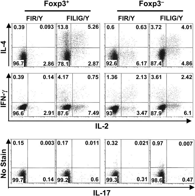 Wan and Flavell: Regulatory T Cells, TGF-, and Immune Suppression 273 IFN- and therefore provided Th1-polarizing conditions (17).