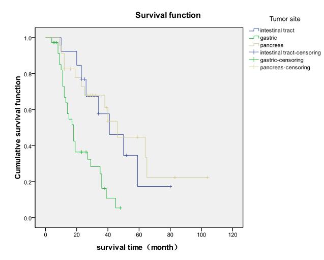 Univariate analysis confirmed female and young cases were present better prognosis; patients with tumor located in pancreas had a higher 3- and 5-year survival rate of 68.0% and 44.