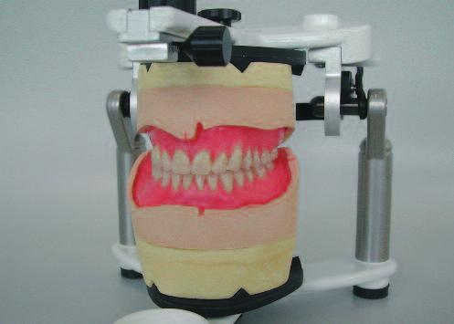 Orthoplane DCL > Dental
