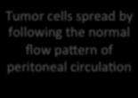 the most common mode of spread Peritoneal fluid is in constant circulafon by gravity and