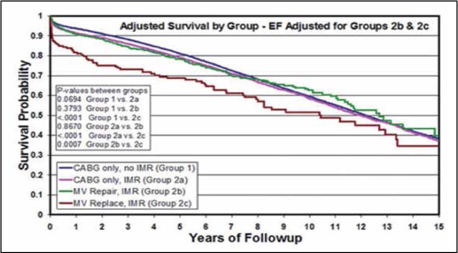 Survival curves over 15 years of follow-up Valve repair seems to