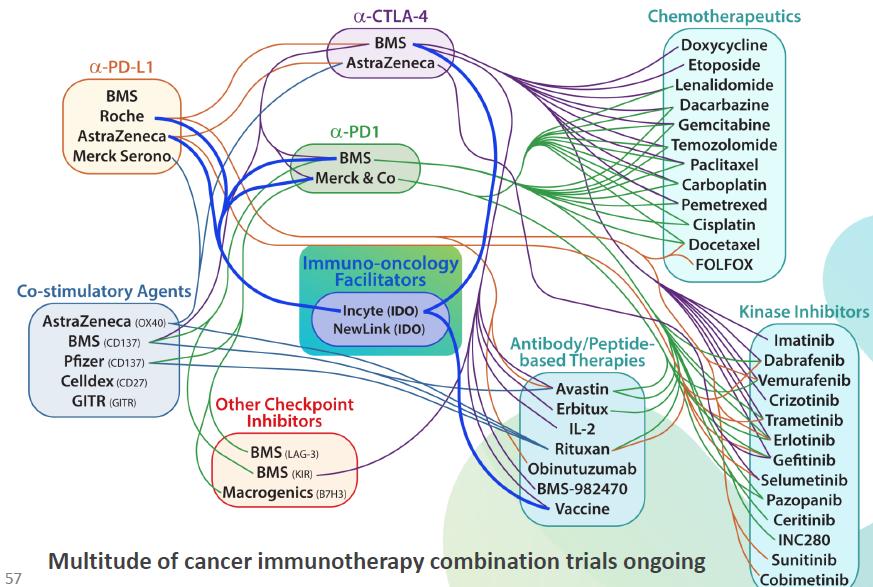 25 Graphic View of Immune